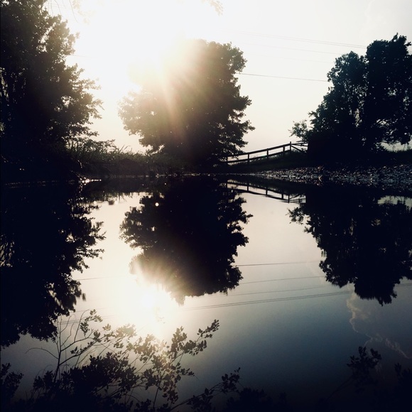 Meet your Posher, Shaily Robinson - Picture 2 of 2